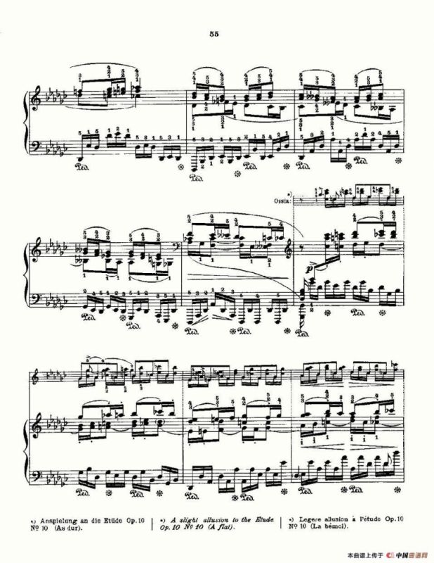 肖邦《练习曲》Fr.Chopin Op.10 No5 & Op.25 No9