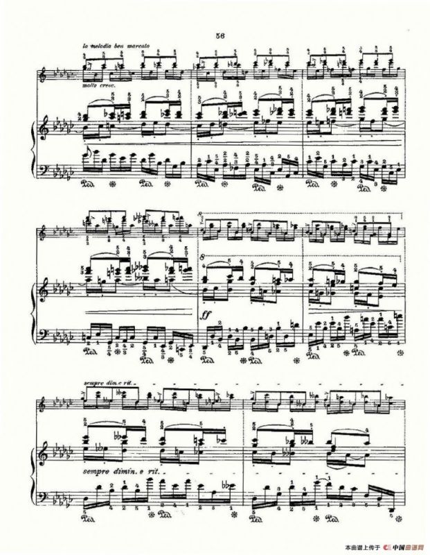 肖邦《练习曲》Fr.Chopin Op.10 No5 & Op.25 No9