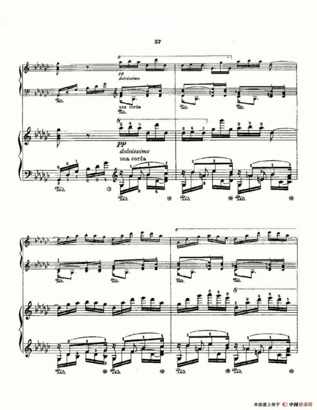 肖邦《练习曲》Fr.Chopin Op.10 No5 & Op.25 No9