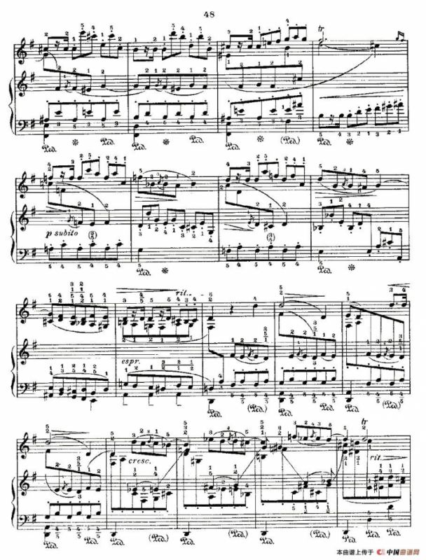 肖邦《练习曲》Fr.Chopin No 3