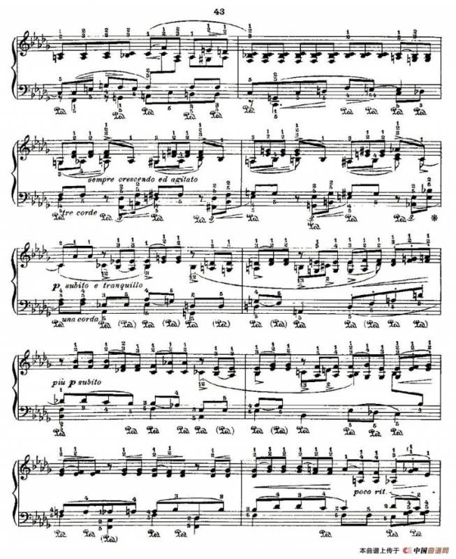 肖邦《练习曲》Fr.Chopin No 2-2