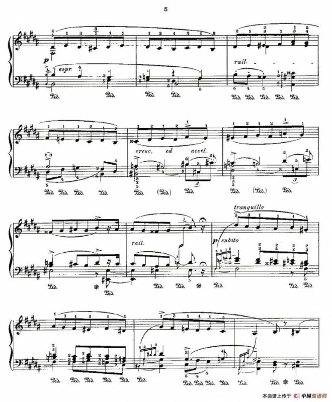 肖邦《练习曲》Fr.Chopin Op.25 No10