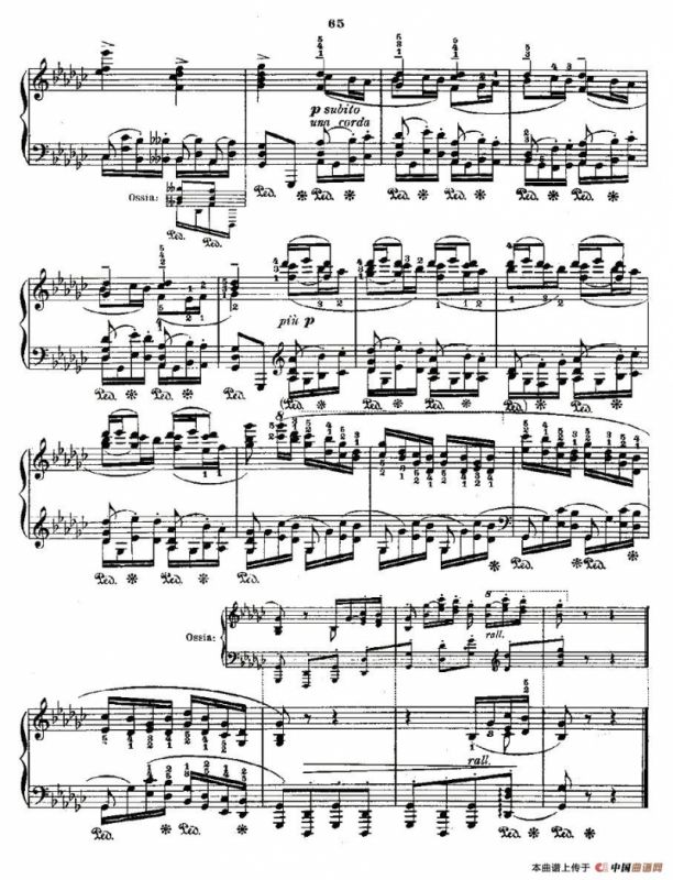 肖邦《练习曲》Fr.Chopin Op.25 No9-1