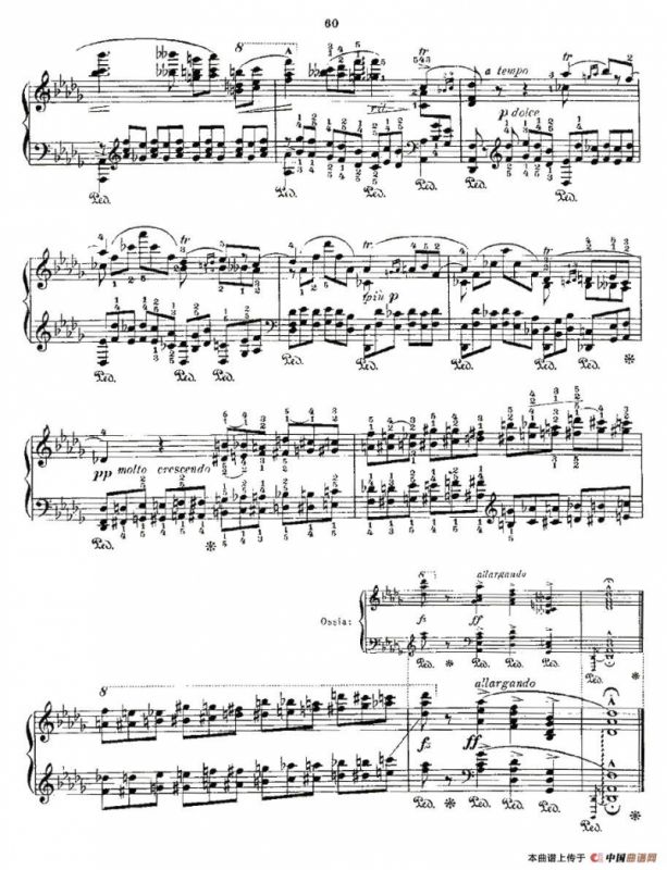 肖邦《练习曲》Fr.Chopin Op.25 No8