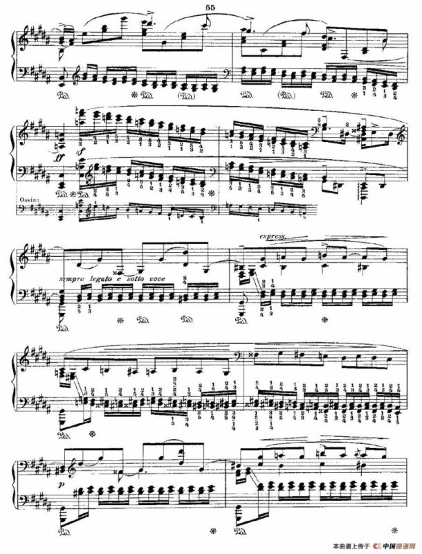 肖邦《练习曲》Fr.Chopin Op.25 No6