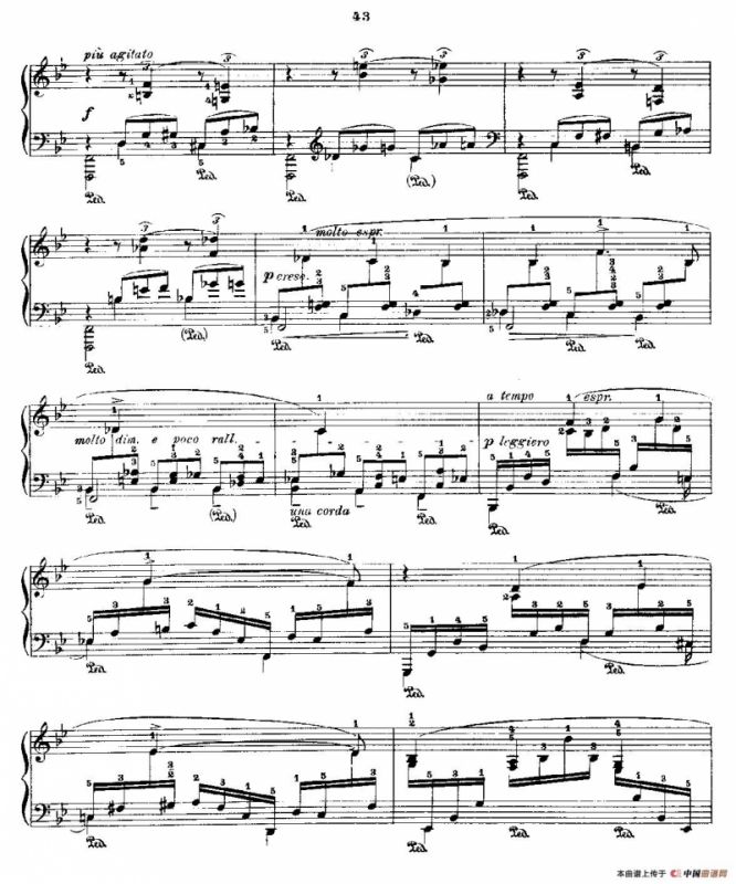 肖邦《练习曲》Fr.Chopin Op.25 No5-2