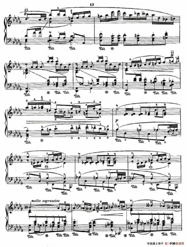 肖邦《练习曲》Fr.Chopin Op.25 No4-2