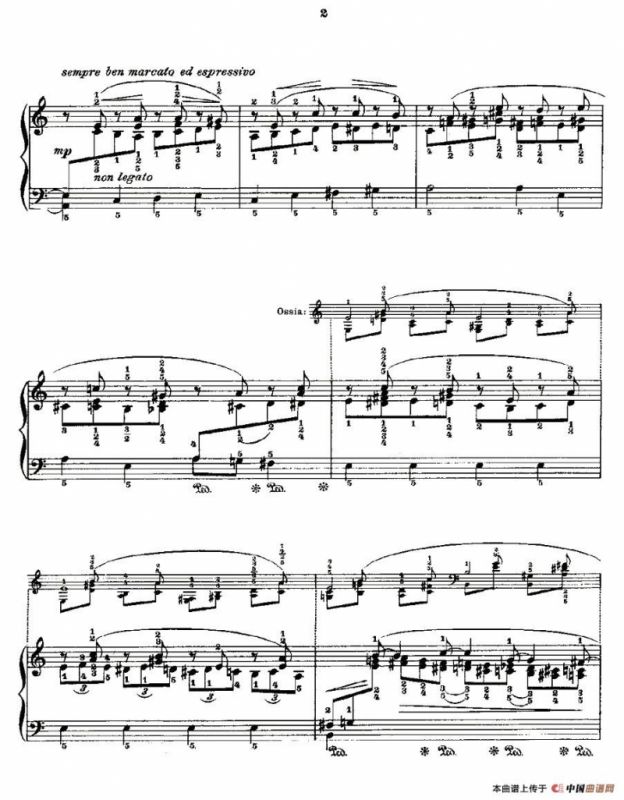 肖邦《练习曲》Fr.Chopin Op.25 No4-1