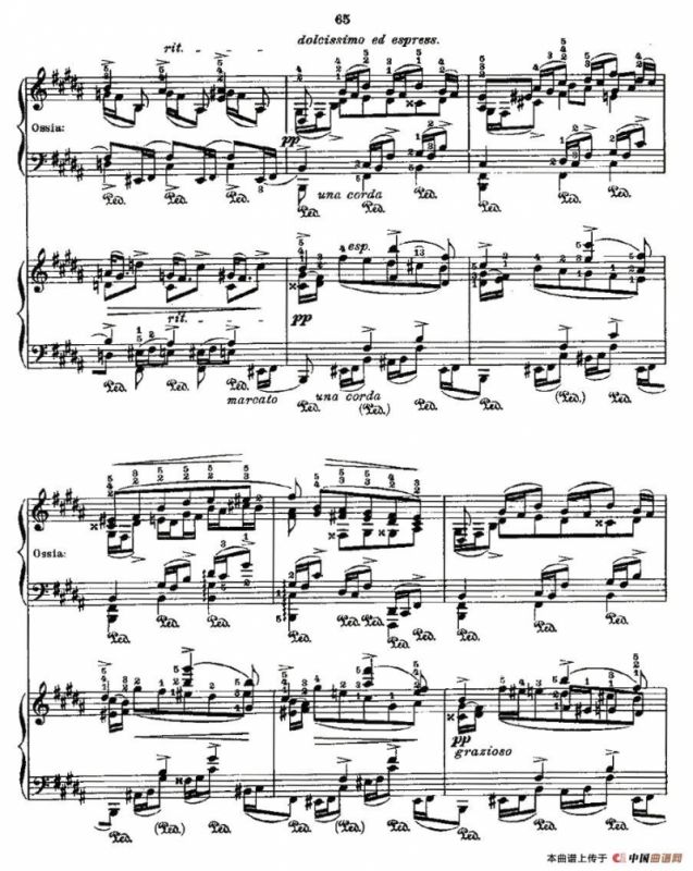 肖邦《练习曲》Fr.Chopin Op.25 No3-1