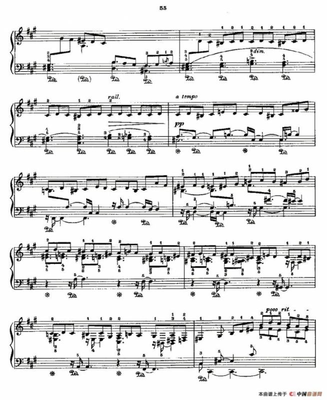 肖邦《练习曲》Fr.Chopin Op.25 No2-4