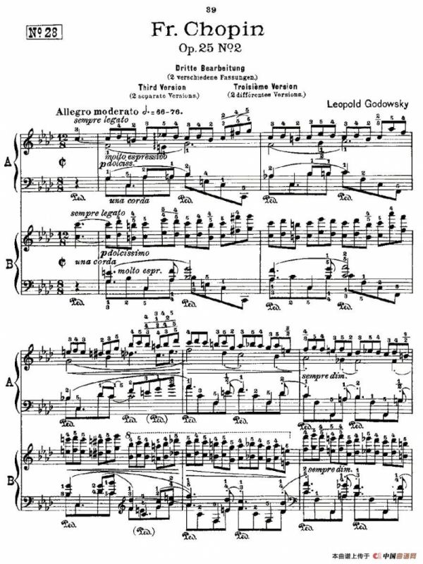 肖邦《练习曲》Fr.Chopin Op.25 No2-3