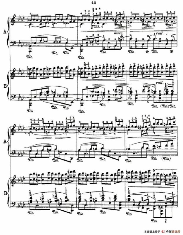 肖邦《练习曲》Fr.Chopin Op.25 No2-3