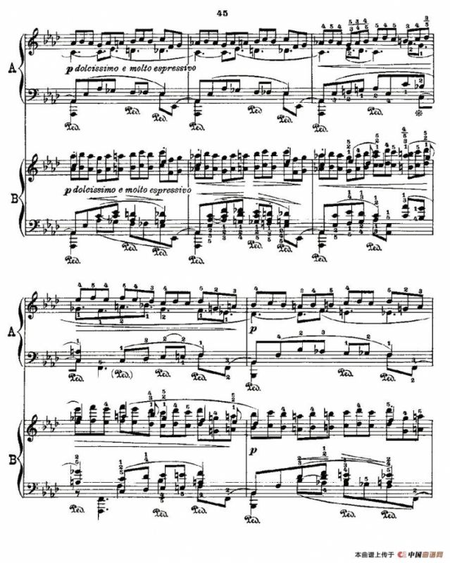 肖邦《练习曲》Fr.Chopin Op.25 No2-3