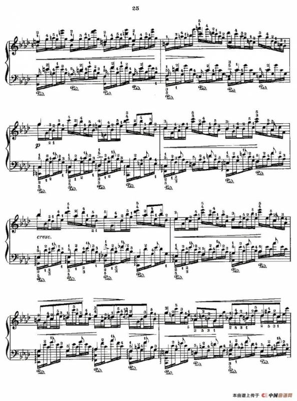 肖邦《练习曲》Fr.Chopin Op.25 No1-3