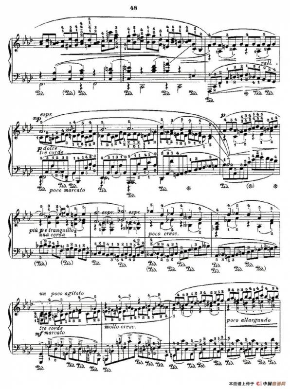 肖邦《练习曲》Fr.Chopin Op.10 No9-2