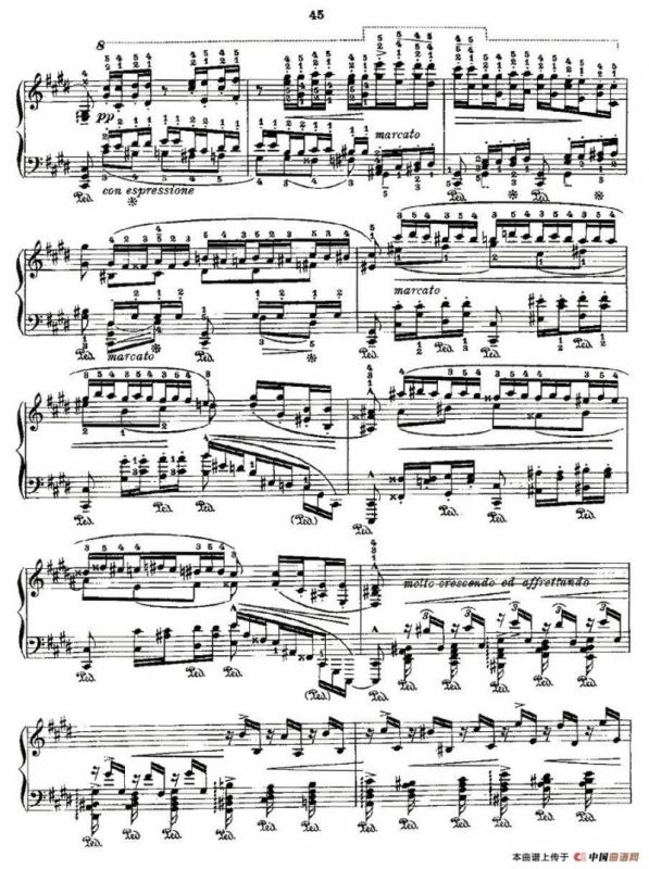 肖邦《练习曲》Fr.Chopin Op.10 No9-1