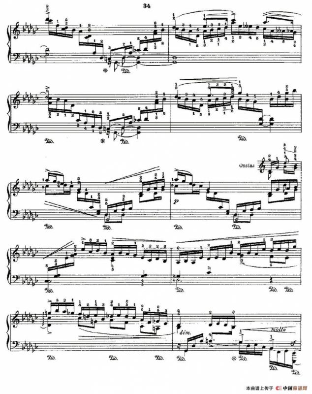 肖邦《练习曲》Fr.Chopin Op.10 No8-2