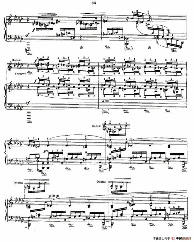 肖邦《练习曲》Fr.Chopin Op.10 No8-2