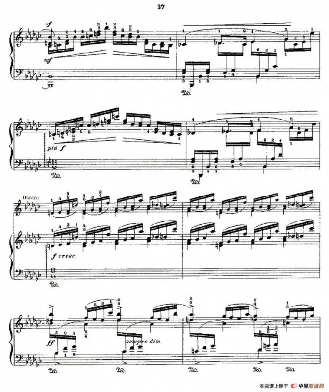 肖邦《练习曲》Fr.Chopin Op.10 No8-2