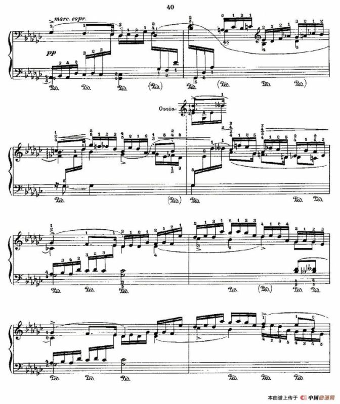 肖邦《练习曲》Fr.Chopin Op.10 No8-2