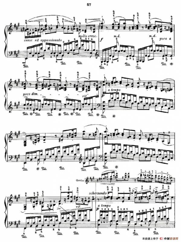肖邦《练习曲》Fr.Chopin Op.10 No5-4