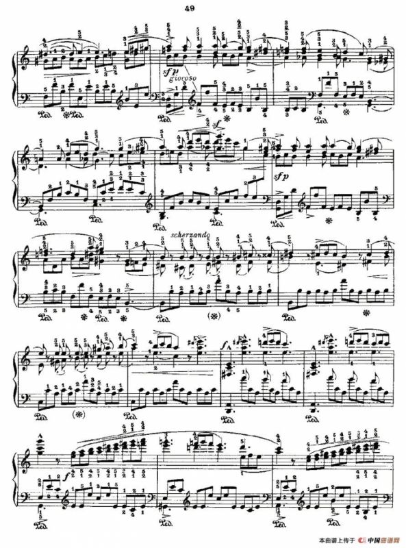 肖邦《练习曲》Fr.Chopin Op.10 No5-3