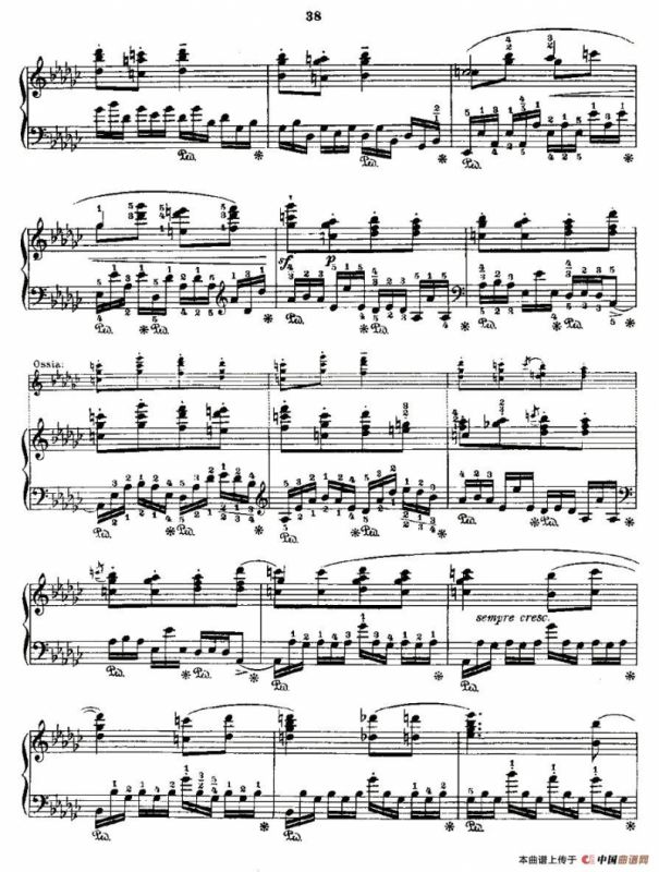 肖邦《练习曲》Fr.Chopin Op.10 No5-1