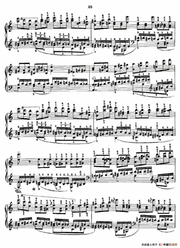 肖邦《练习曲》Fr.Chopin Op.10 No2-2