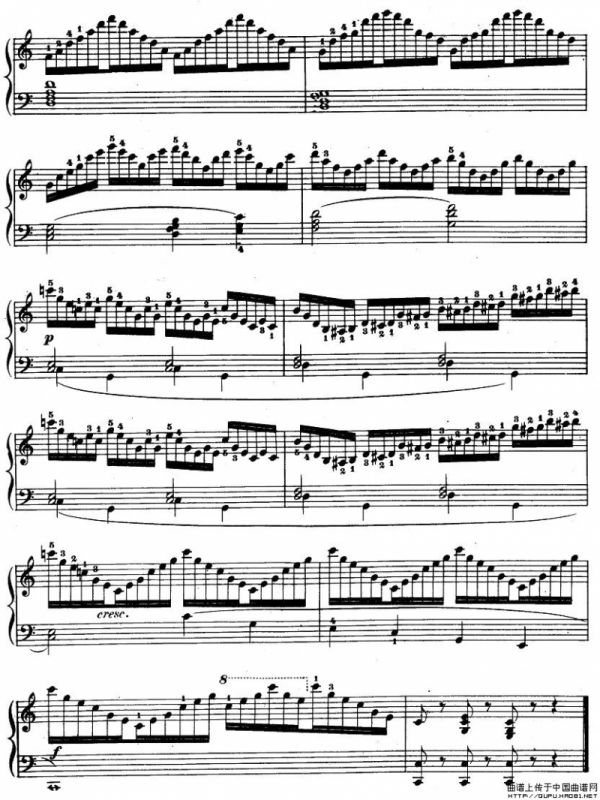 车尔尼《钢琴手指灵巧初步练习曲》之七