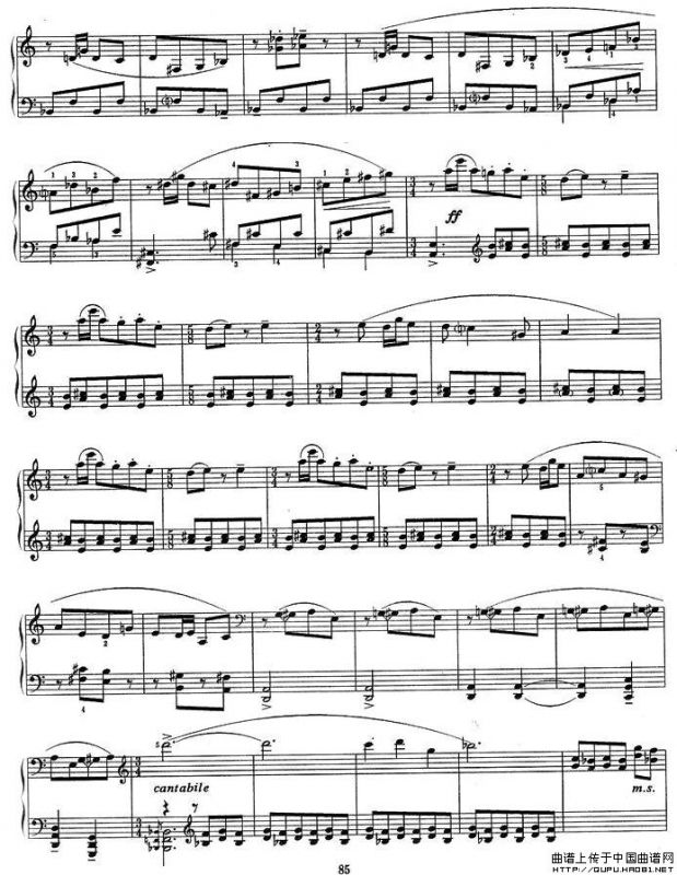 小奏鸣曲 一、在阳光下