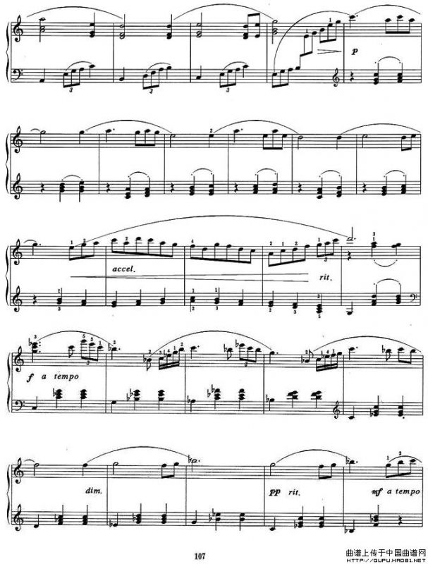 运动会组曲三、自由体操