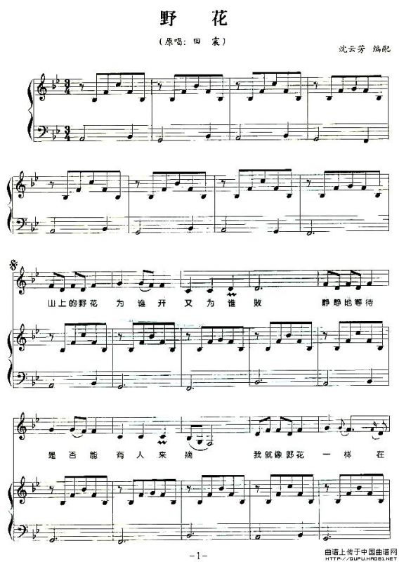 野花（弹唱谱）