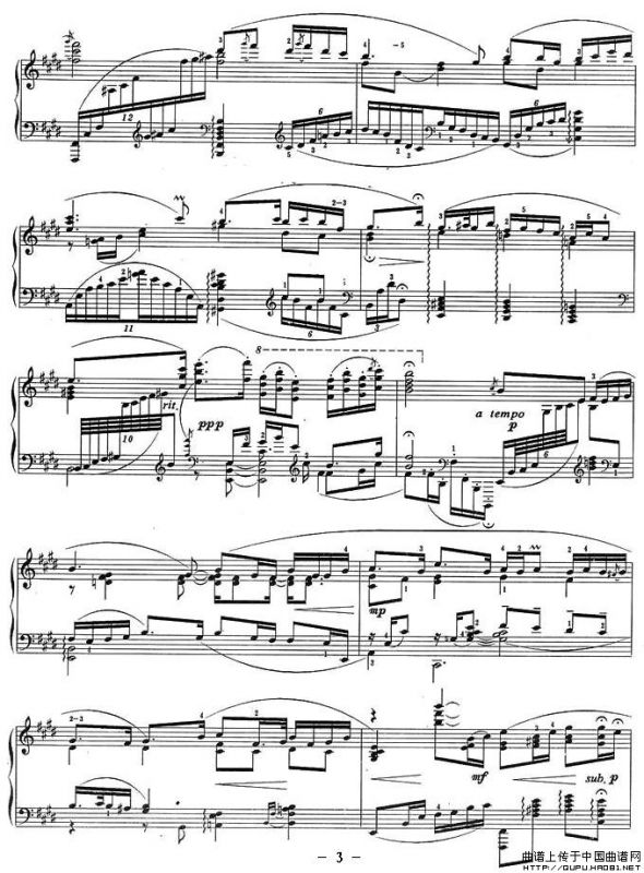 二泉映月（储望华改编版）