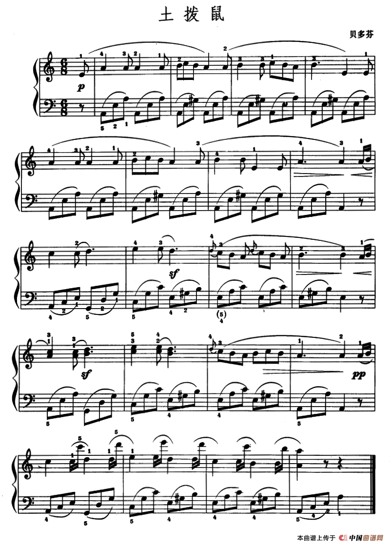 土拨鼠（3个版本）