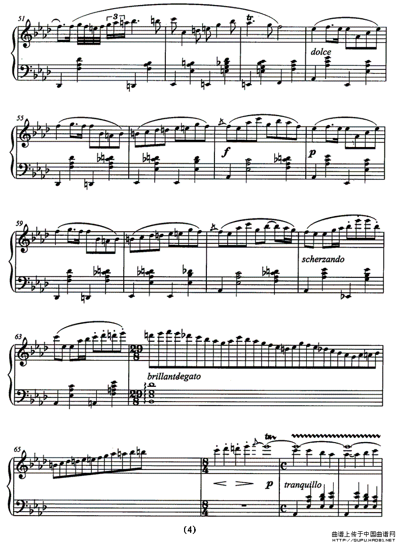 夜曲——肖邦的回忆