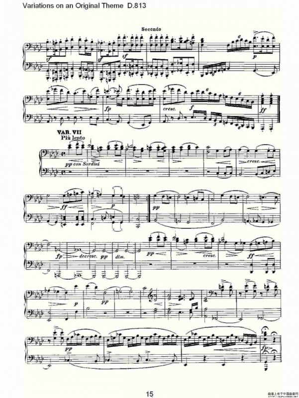 Variations on an Original Theme D.813（原生态主题变鸣曲 D.）