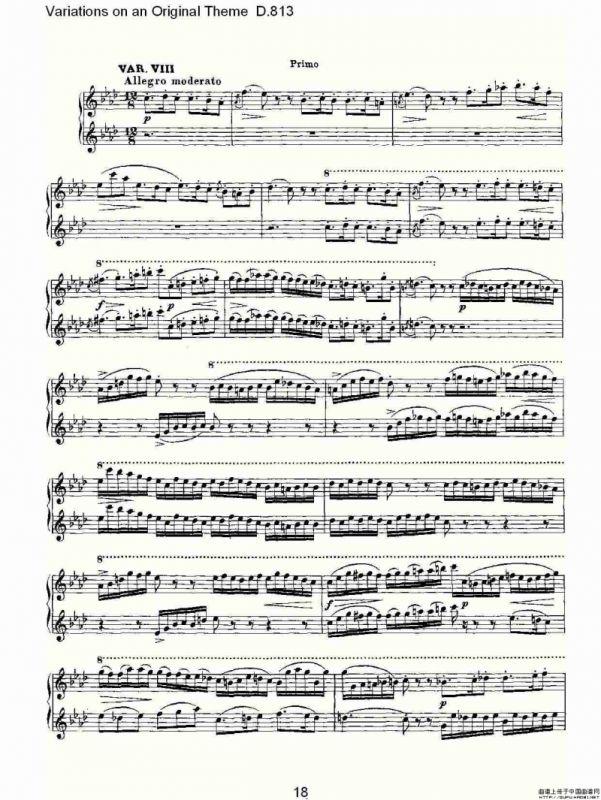 Variations on an Original Theme D.813（原生态主题变鸣曲 D.）