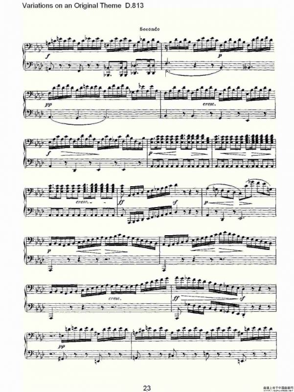 Variations on an Original Theme D.813（原生态主题变鸣曲 D.）