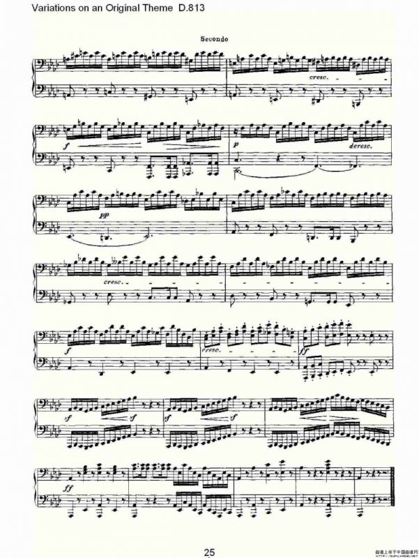 Variations on an Original Theme D.813（原生态主题变鸣曲 D.）