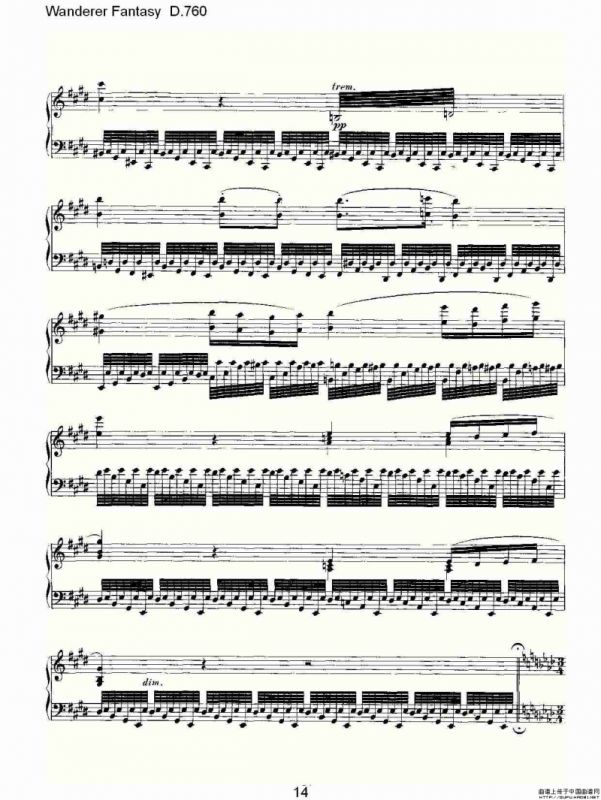 Wanderer Fantasy D.760（幻想的流浪者 D.760）