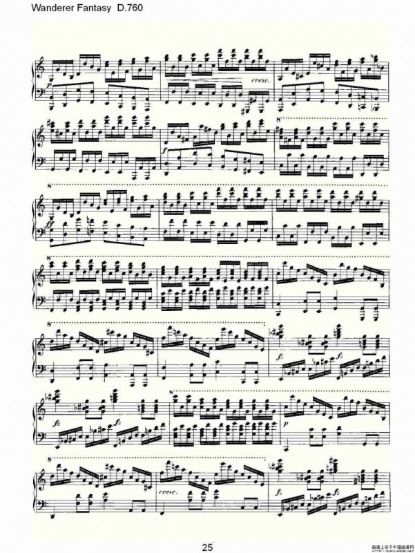 Wanderer Fantasy D.760（幻想的流浪者 D.760）