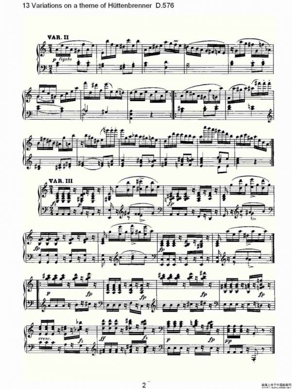 13 Variations on a theme of Hüttenbrenner D.576（主）