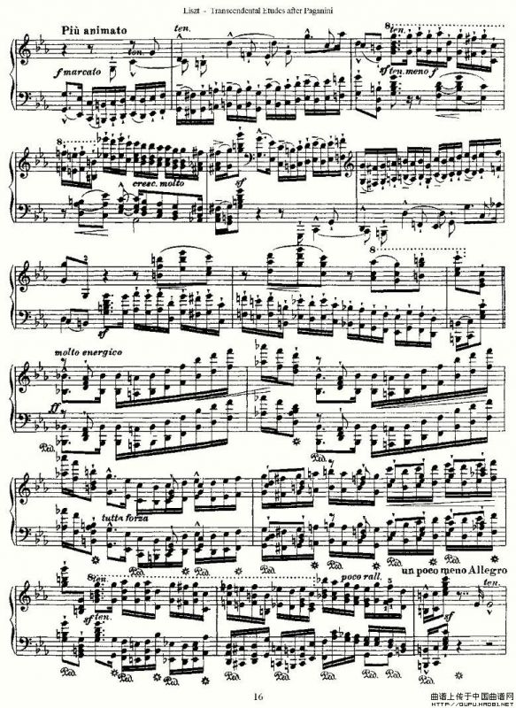 李斯特六首帕格尼尼练习曲之（二）