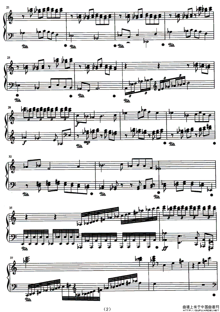 五个背景中的茉莉花