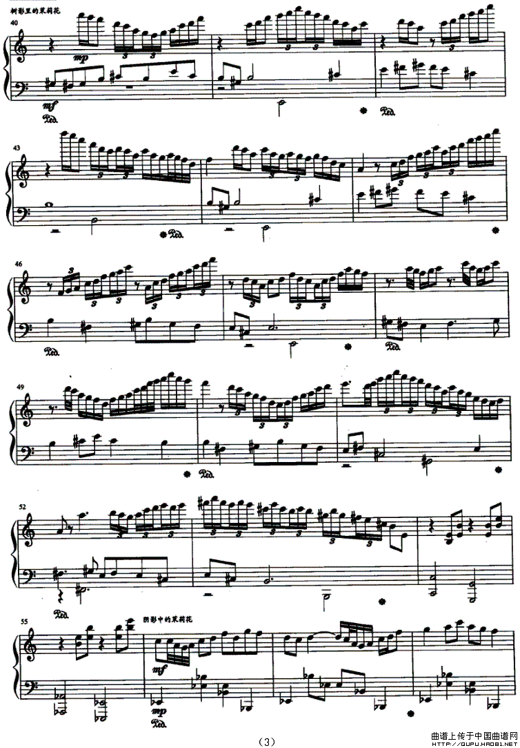 五个背景中的茉莉花