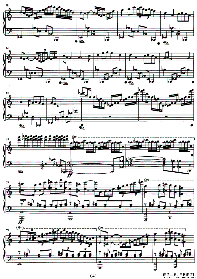 五个背景中的茉莉花