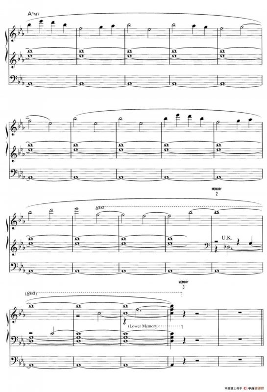 Paradiso（双排键电子琴谱）