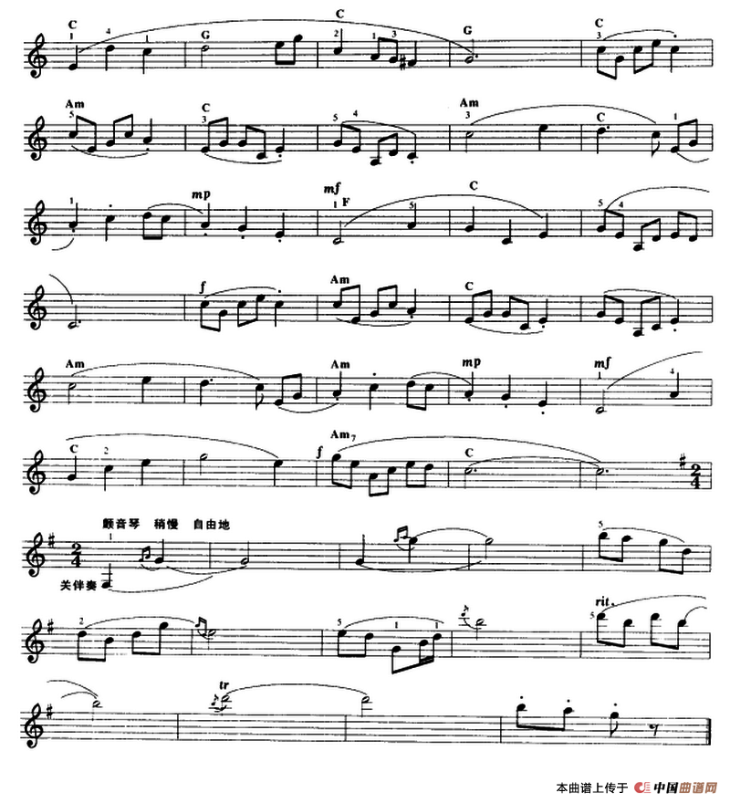 我是白族小金花