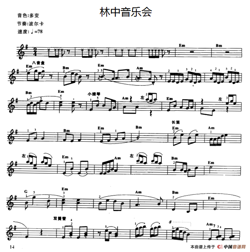 林中音乐会