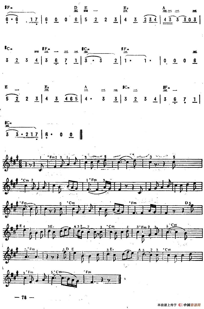 你的窗户暗无光